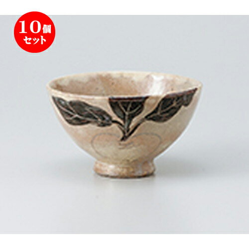 10ĥå    ʴ֥ʿ [ 11.2 x 6.5cm  |      ͵  ...