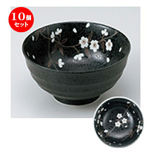 10ĥå  Ч  ʹ5.5¿Ч [ 17 x 8.6cm  | Ч Ч֤ եЧ ȭ 顼  ɤ ...