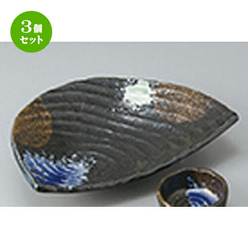 3ĥå  ɿ  ̻  22.3 x 15.3cm  | ͵   ̳ Ź ե Ĥ  ...