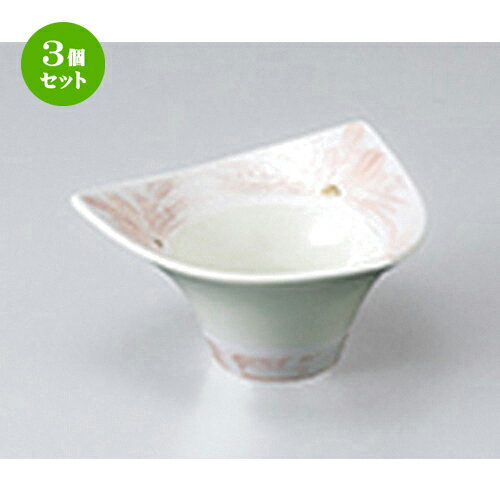 3ĥåȡ ȭ  ԥ󥯥饹澮ȭ  11 x 11 x 5.5cm  | ȭ   ȭ ܥ ǽ ͵ ...