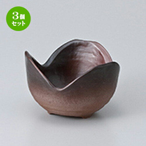 3ĥåȡ   ơĻȭ  8 x 5cm  | ¿ ȭ ȭ ܥ  ۥƥ  ̳ Ź ե ...