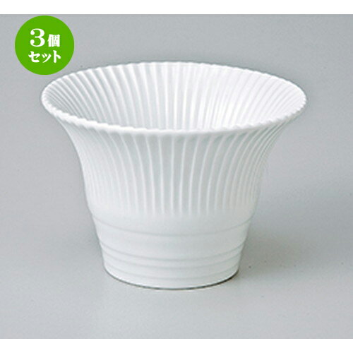 3ĥåȡ ȭ  صƷ  10 x 7cm  | ȭ   ȭ ܥ ǽ ͵   ̳ Ź...