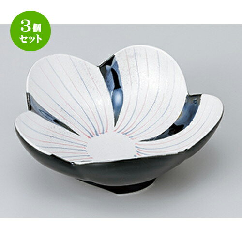 3ĥåȡ ȭ  󿧰饹ַ  14.3 x 14.3 x 5.8cm  | ȭ   ȭ ܥ ...