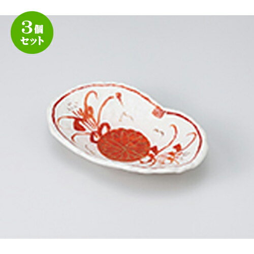 3ĥåȡ ȭ  ֲվȭ  18 x 11.5 x 4cm  | ȭ   ȭ ܥ ǽ ͵  ...