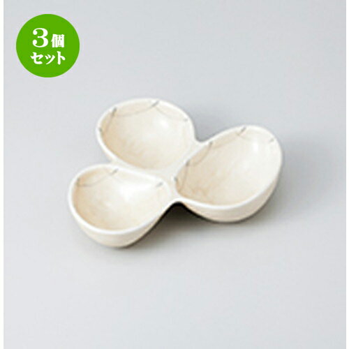 3ĥå    Ựȭ [ 19.5 x 17.8 x 3.8cm  | ͵   ̳ Ź ...