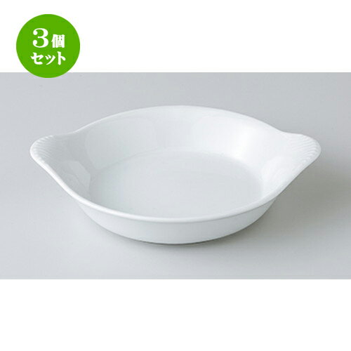 3ĥåȡ ֥󿩴   19cmM饿 [ 19.2 x 16.3 x 4.5cm  | 饿  ɥꥢ ...