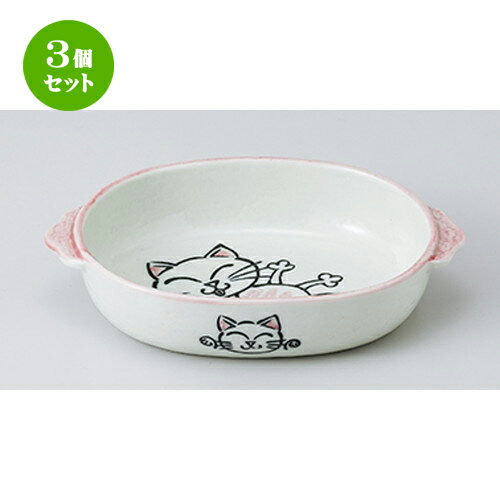 3ĥå  ֥󿩴  饿 ͥ PK [ 18.5 x 12.7 x 3.8cm  | 饿  ɥꥢ ҡ...