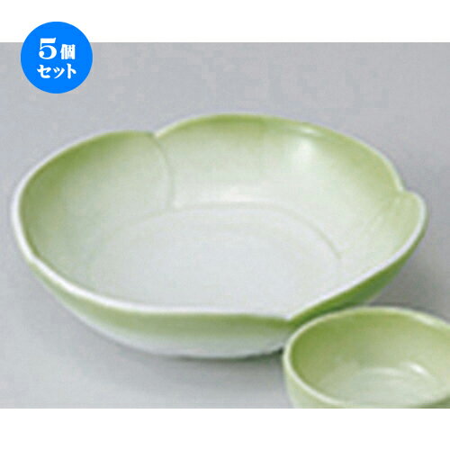5ĥå  ɿ  ҥַɿȭ  15.2 x 14.8 x 4cm  | ͵   ̳ Ź ե ...