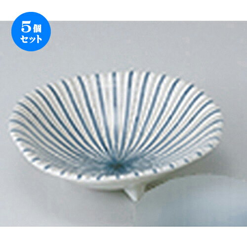5ĥåȡ ɿ  𻰥­5.0ȭ  15.5 x 5cm  | ͵   ̳ Ź ե Ĥ  ...
