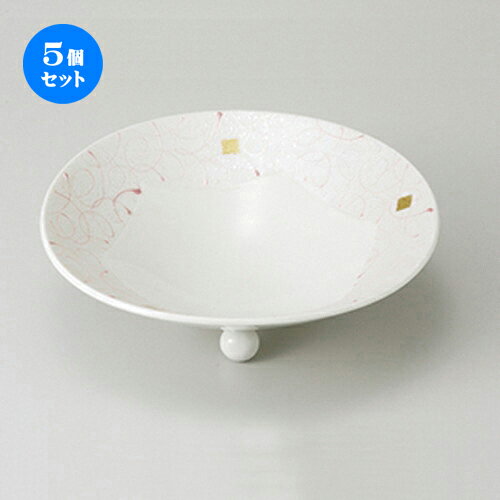 5ĥåȡ   ԥ6  18.8 x 6cm  | ͵   ̳ Ź ե Ĥ  ...