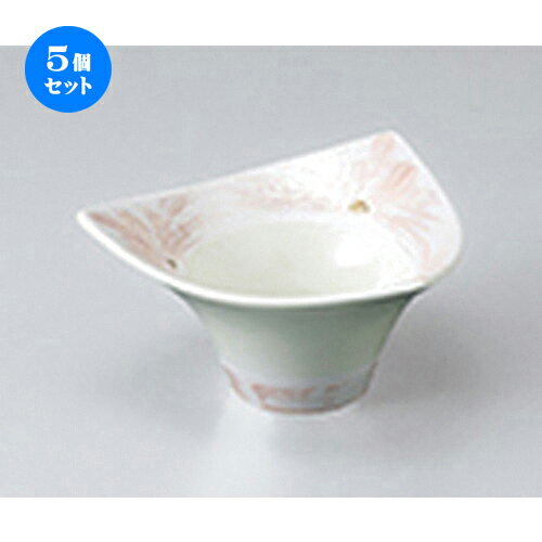 5ĥåȡ ȭ  ԥ󥯥饹澮ȭ  11 x 11 x 5.5cm  | ȭ   ȭ ܥ ǽ ͵ ...