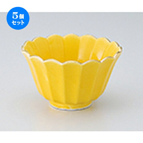 5ĥåȡ ȭ  Ʒȭ  10.3 x 6.3cm  | ȭ   ȭ ܥ ǽ ͵   ...