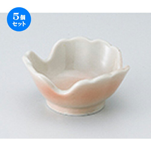 5ĥåȡ ȭ  ܤξȭʾ  8.9 x 4.2cm  | ȭ   ȭ ܥ ǽ ͵   ...