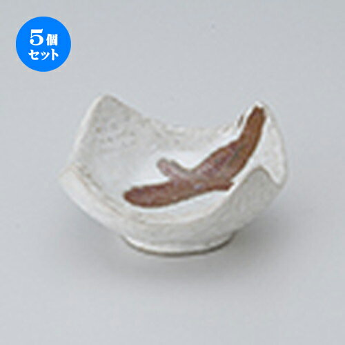 5ĥåȡ   ʴͳѾ  8.5 x 8.5 x 4cm  | ¿ ȭ ȭ ܥ  ۥƥ  ̳ ...