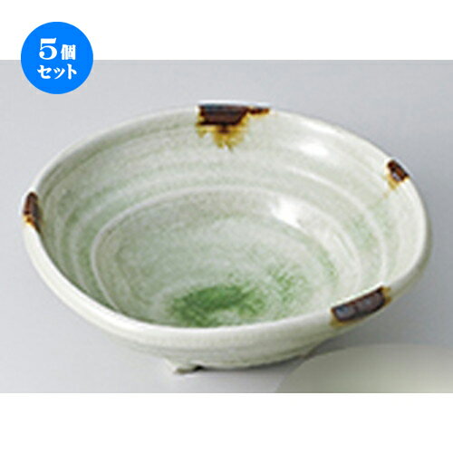 5ĥåȡ ɿ  ߤɤͥ­ͳȭ  16.5 x 6cm  | ͵   ̳ Ź ե Ĥ  ...