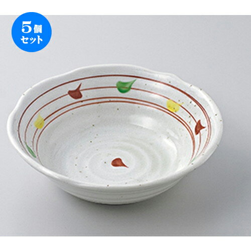 5ĥåȡ ȭ  ʴֳĻ5.5ȭ  16.5 x 5cm  | ȭ ȭ ȭ ܥ   ͵  ̳...