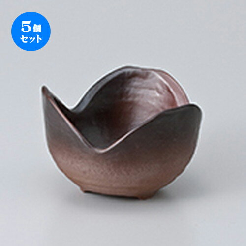 5ĥåȡ   ơĻȭ  8 x 5cm  | ¿ ȭ ȭ ܥ  ۥƥ  ̳ Ź ե ...