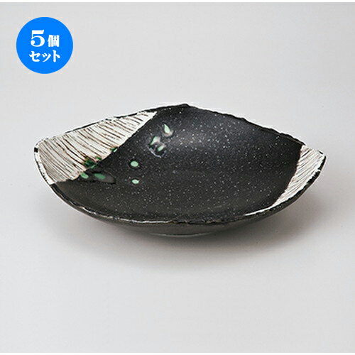 5ĥåȡ   Ѷܷ5.5ʿȭ  21.5 x 18 x 5cm  | ȭ ȭ ȭ ܥ   ͵...