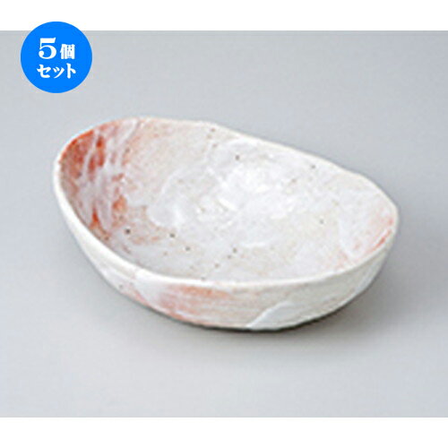 5ĥåȡ   ʱȭ  19.2 x 14.7 x 5.3cm  | ȭ ȭ ȭ ܥ   ͵ ...