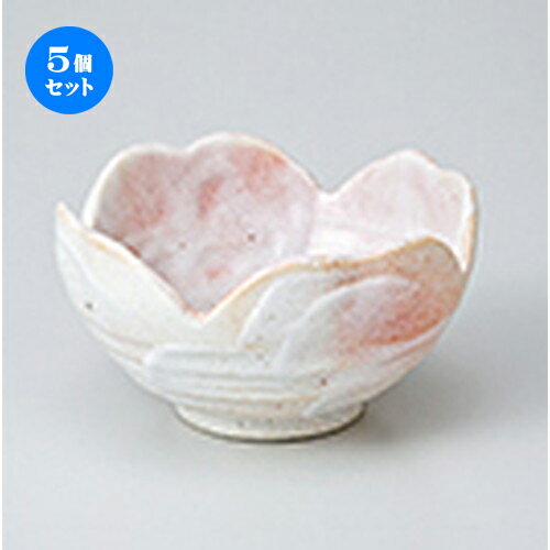5ĥåȡ ȭ  ͥĻȭ  10.5 x 5.8cm  | ȭ   ȭ ܥ ǽ ͵   ...
