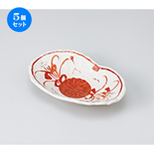 5ĥåȡ ȭ  ֲվȭ  18 x 11.5 x 4cm  | ȭ   ȭ ܥ ǽ ͵  ...