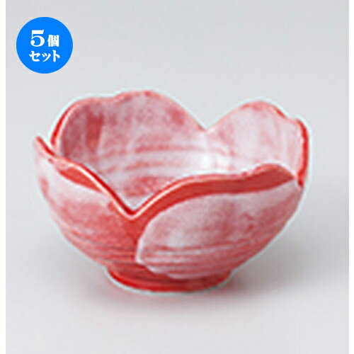 5ĥåȡ ȭ  ֺӻͥĻȭ  10.3 x 5.7cm  | ȭ   ȭ ܥ ǽ ͵  ...