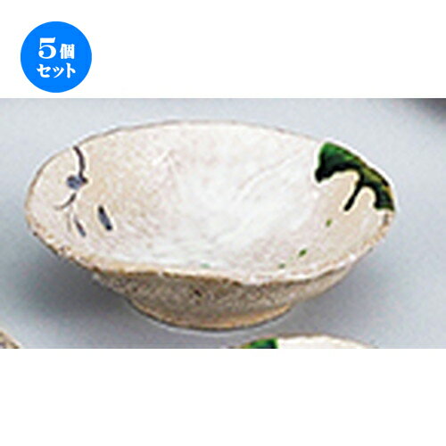 5ĥåȡ ƫץ  Ĥ 5.5ɿȭ [ 17.5 x 17 x 5.5cm ] | ͵   ̳ Ź...