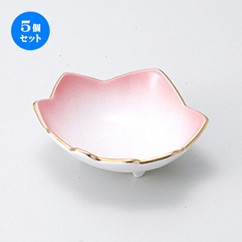 5ĥåȡ Ʋ  ԥ󥯥Ƿȭ [ 10.8 x 10 x 3.7cm  |  ȭ Ʀ  ͵   ...