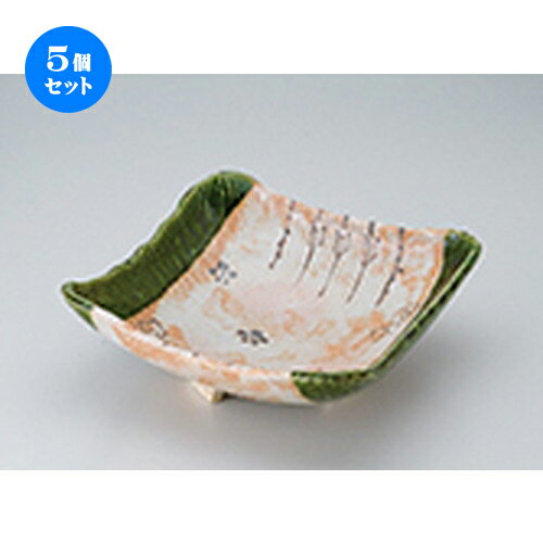 5ĥåȡ ȭ  10.0ȭ [ 24.2 x 23 x 9.1cm  | ȭ ȭ ǽ ȭ   ̳...
