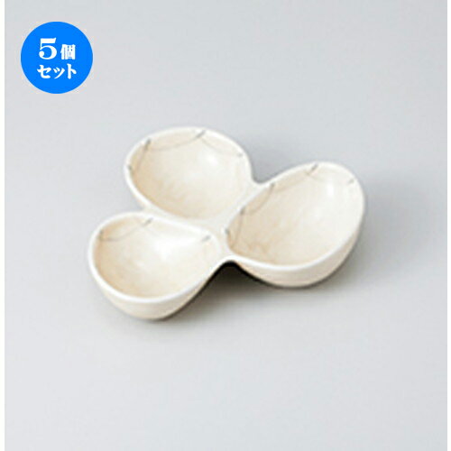 5ĥå    Ựȭ [ 19.5 x 17.8 x 3.8cm  | ͵   ̳ Ź ...