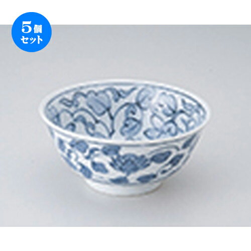 5ĥåȡ   4.8¿Ч [ 14.8 x 7cm  | 饤Ч ȭ   Ч   ̳...