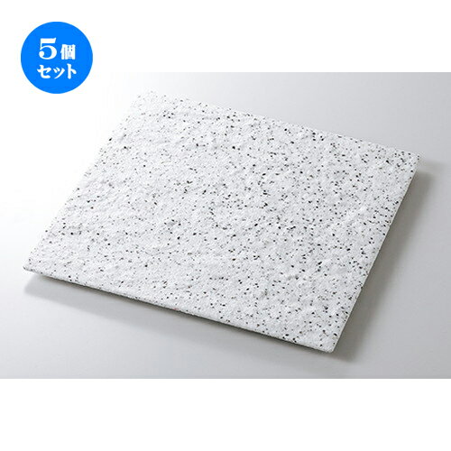 5個セット☆ モダンスタイル ☆ 白御影石肌正角25cm皿 [ 25 x 25 x 1.5cm ] | 四角 スクエア スクエアー 角皿 パスタ 人気 おすすめ 食器 洋食器 業務用 飲食店 カフェ うつわ 器 おしゃれ かわいい ギフト プレゼント 引き出物 誕生日 贈り物 贈答品 食器セット