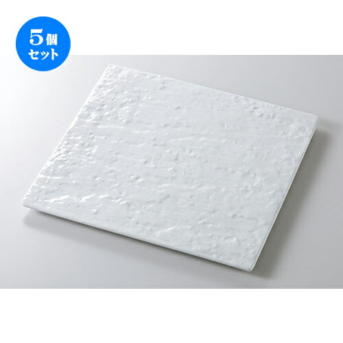 5個セット☆ モダンスタイル ☆ マーズ24cmスクエアー/ホワイト [ 24.5 x 1.2cm ] | 四角 スクエア スクエアー 角皿 パスタ 人気 おすすめ 食器 洋食器 業務用 飲食店 カフェ うつわ 器 おしゃれ かわいい ギフト プレゼント 引き出物 誕生日 贈り物 贈答品 食器セット