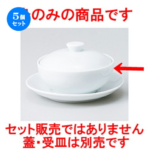 5ĥåȡ ñ  UWڼ̵եҥ [ 11.7 x 5cm  |   եҥ 饤  㡼ϥ 顼...