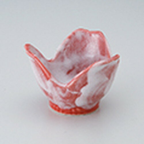  ַֺ̲̣  8.5 x 6.4cm  | ¿ ȭ ȭ ܥ  ۥƥ  ̳ Ź ե Ĥ  ...