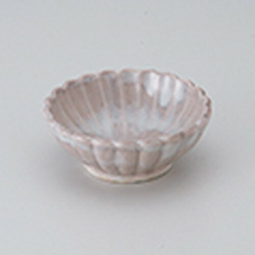  صƷ  8.5 x 3.2cm  | ¿ ȭ ȭ ܥ  ۥƥ  ̳ Ź ե Ĥ  ...
