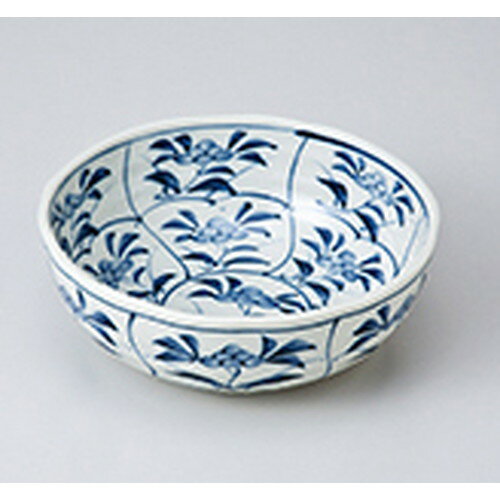 ȭ ʤ 4.5ܡ  13.7 x 5cm  | ȭ   ȭ ܥ ǽ ͵   ̳ Ź ...