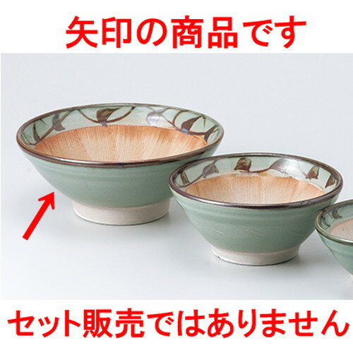 ȭ 6.0ȭ  18.7 x 7.5cm    ι ¿ Ź ̳ 
