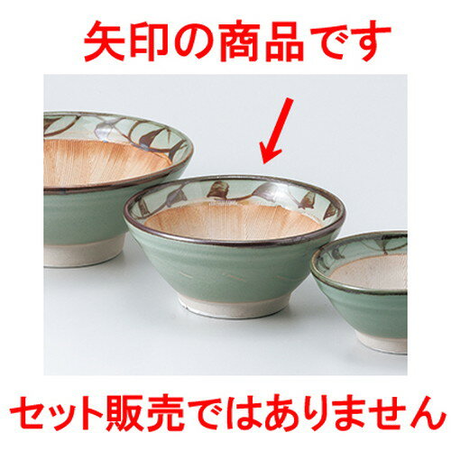 ȭ 5.0ȭ  14.8 x 6.2cm    ι ¿ Ź ̳ 