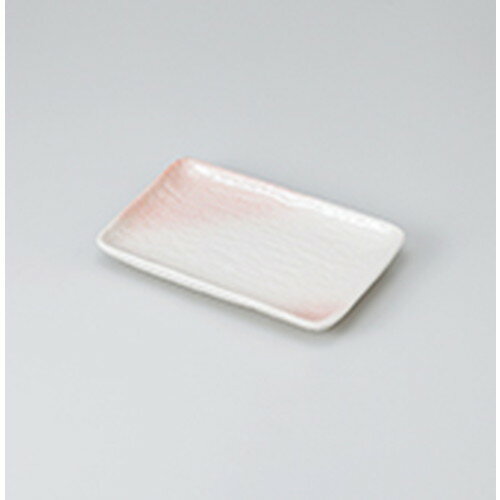 ʪ 6.0Ĺѻ  17.5 x 12 x 2.2cm  | Ƥʪ ơ  Ƥ  ̳ Ź ...