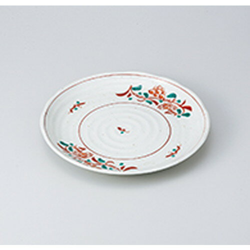 » ʴ8.0  24.5 x 3cm  | 滮 ǥȻ 껮 ͵   ̳ Ź ե Ĥ ...
