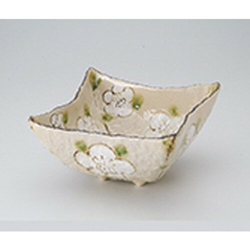 ¿ȭ ʻҲ6.5ѿȭ  20 x 20 x 11cm  | ȭ ȭ ȭ ܥ   ͵  ̳ Ź ...