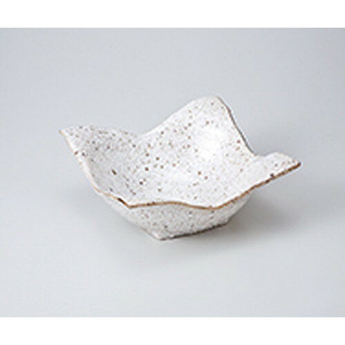 ¿ȭ ޼ӤΤջȭ  19.8 x 19.8 x 8.3cm  | ȭ ȭ ȭ ܥ   ͵  ̳...