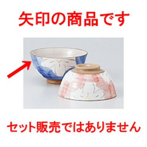  ߲֥֥롼ʿ  11.5 x 6cm  |      ͵   ̳ Ź ...