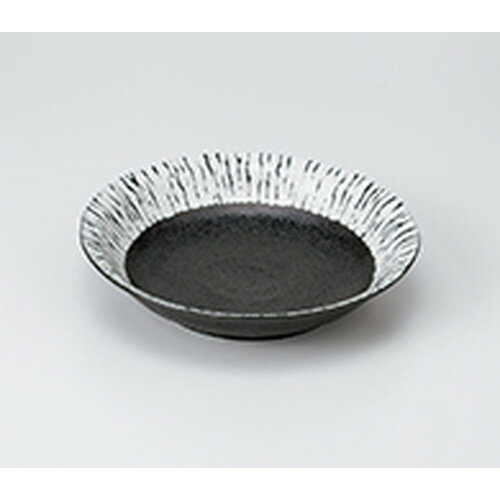 ѥ Ĭ7.0ȭ  21.5 x 4.5cm  | ѥ ѥ 졼 ѥܥ  ̳ Ź ե ...