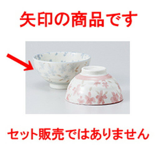  ⳰ܺ ֥롼  12.3 x 6.7cm  |      ͵   ̳...