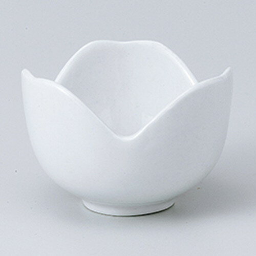 󥹥 Jܡ  6 x 4.5cm  |  ͵  ̳ Ź ե Ĥ   襤...