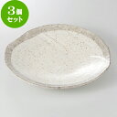 3個セット☆ 和皿 ☆ 錆唐津 9.0変形皿 [ 27.3 x 27.1 x 3.6cm 765g ] | 大きい お皿 大皿 盛り皿 盛皿 人気 おすすめ パスタ皿 パーティー 食器 業務用 飲食店 カフェ うつわ 器 ギフト プレゼント誕生日 贈り物 贈答品 おしゃれ かわいい