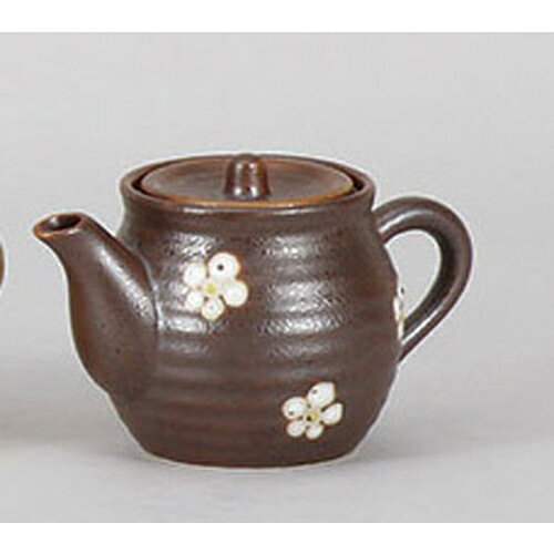 調味料入 南蛮白梅汁注 [7 x 12 x 8cm 185cc] | 醤油 しょう油 正油 しょうゆ 刺身 寿司 卓上 調味料 おすすめ 人気 食器 業務用 飲食店 カフェ うつわ 器 おしゃれ かわいい お洒落 可愛い ギフト プレゼント 引き出物 内祝い 結婚祝い 誕生日 贈り物