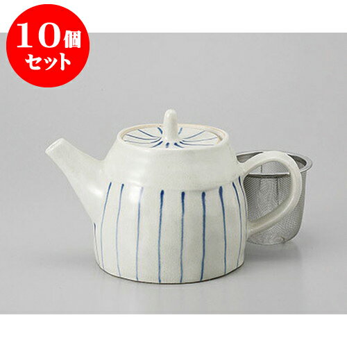 10個セット ポット 青珊瑚ポット(茶コシ付) [10.5 x 10.5cm 500cc] | ポット 急須 土瓶 紅茶 コーヒー ..